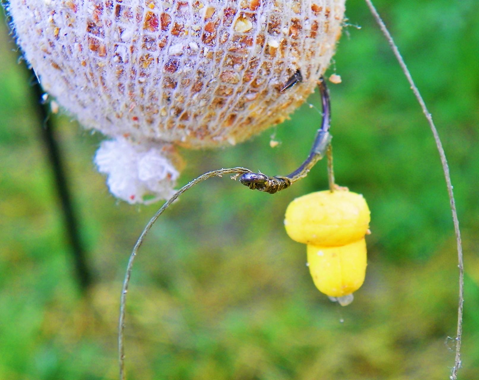 Crapmania (3) - 2011 - 1001673.JPG